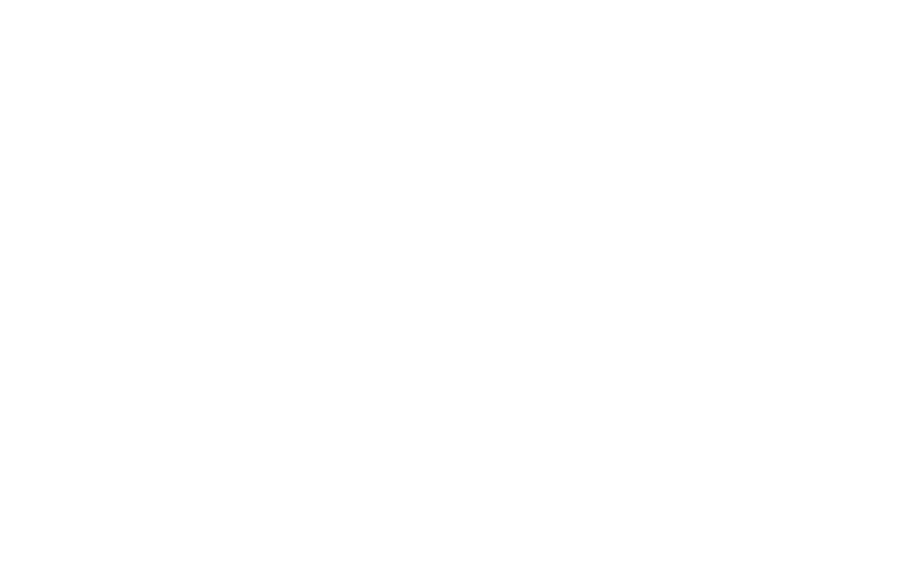 BB Performance Logo White